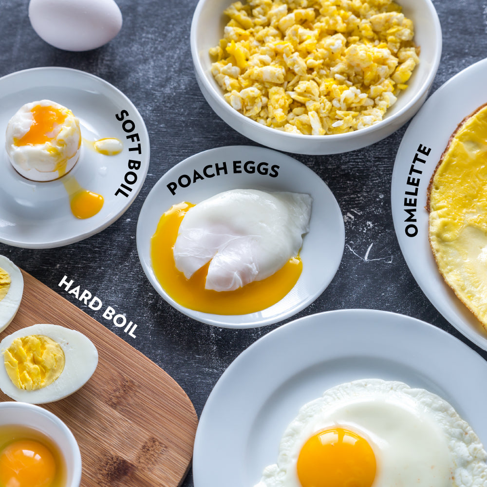 My Borosil Egg Cookers Electric Plus Egg Boiler